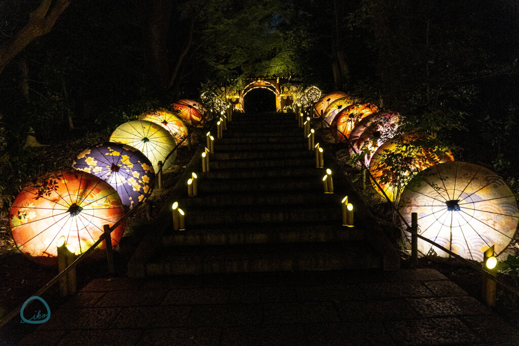 HANA BIYORI　HAHAあかり　会場風景　和傘