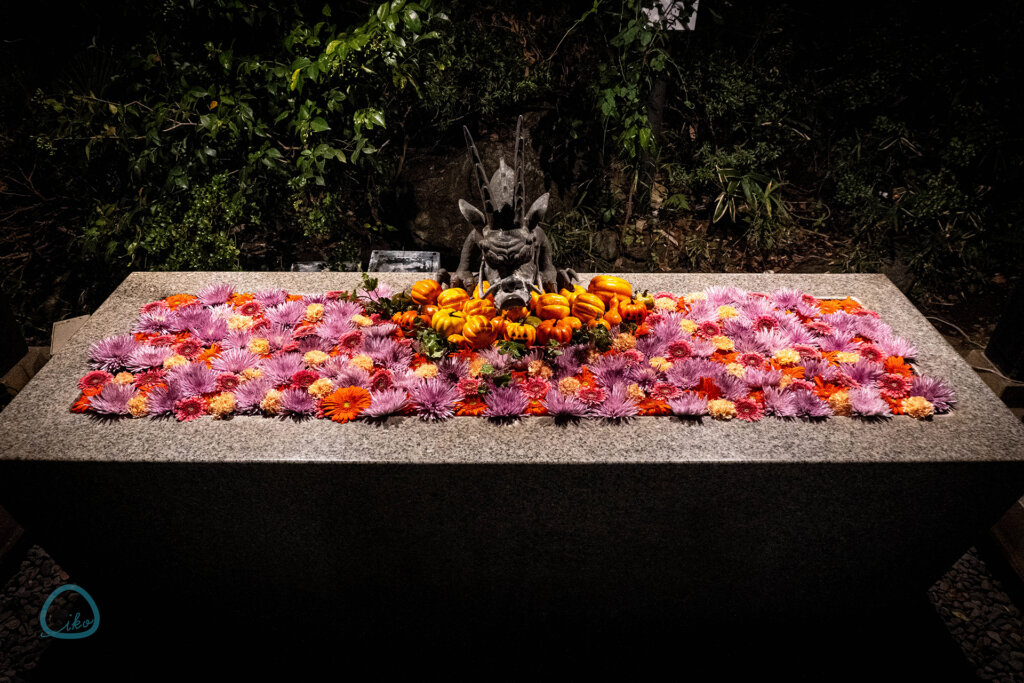 HANA BIYORI　HAHAあかり　花手水