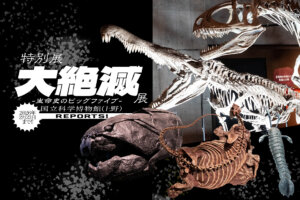 科博　大絶滅展　サムネイル