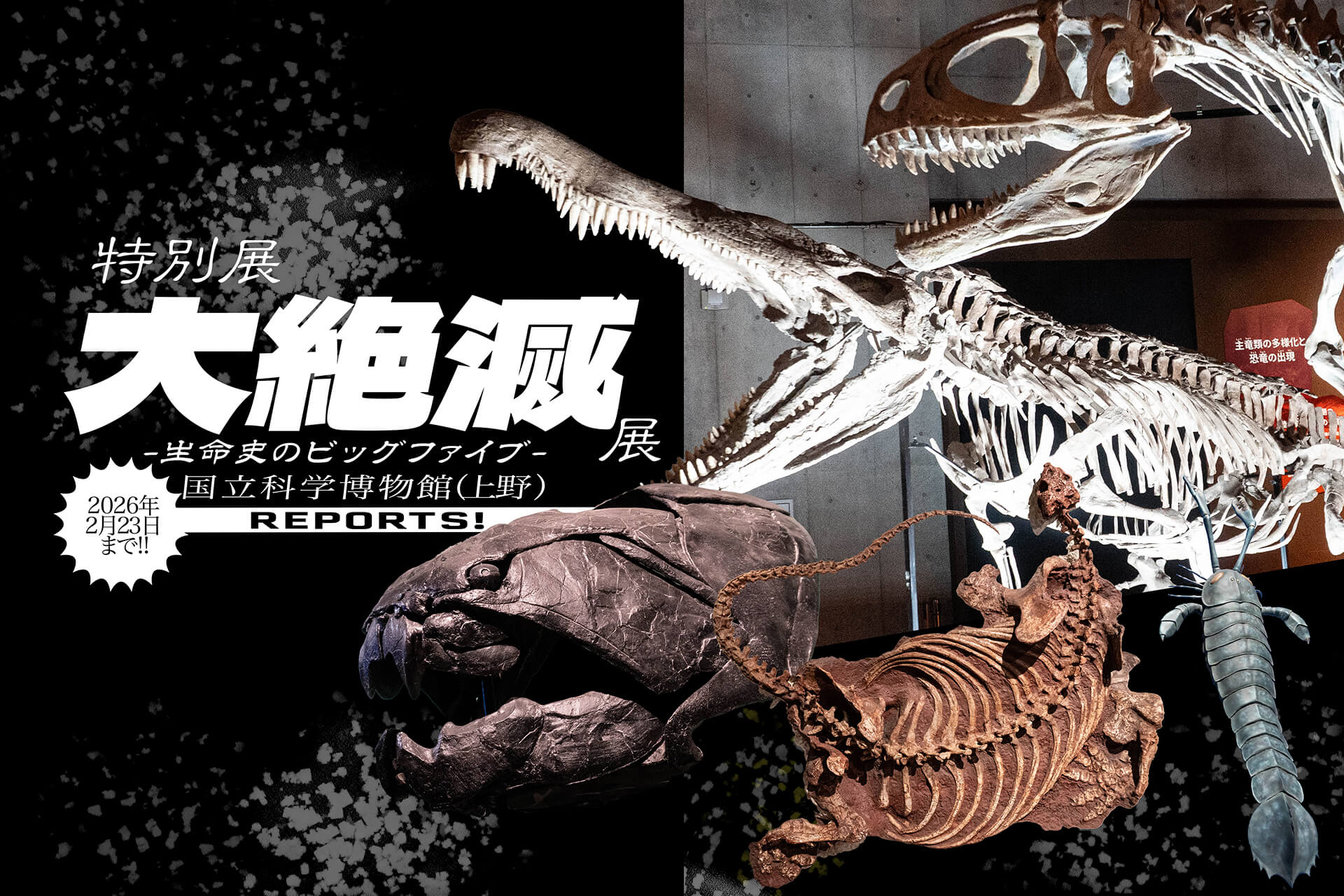 科博　大絶滅展　サムネイル