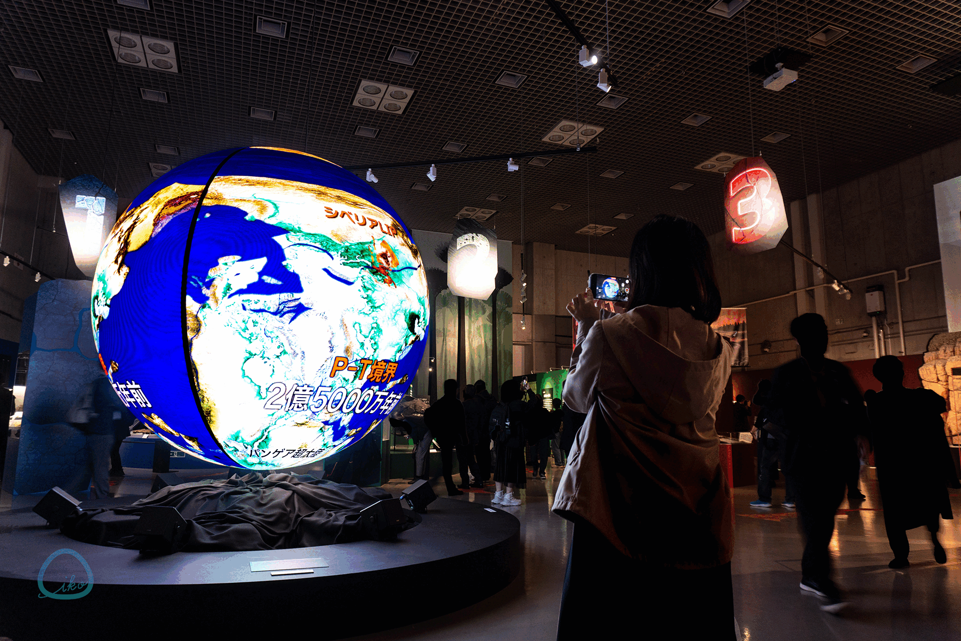 科博　大絶滅展　会場風景