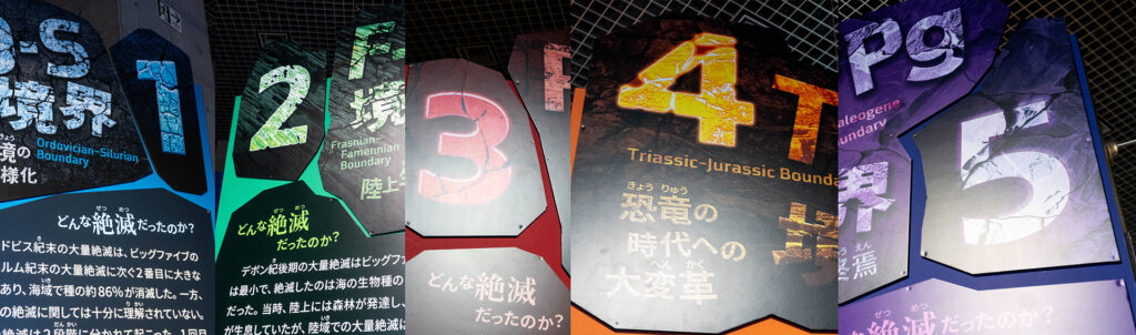 科博　大絶滅展　会場風景