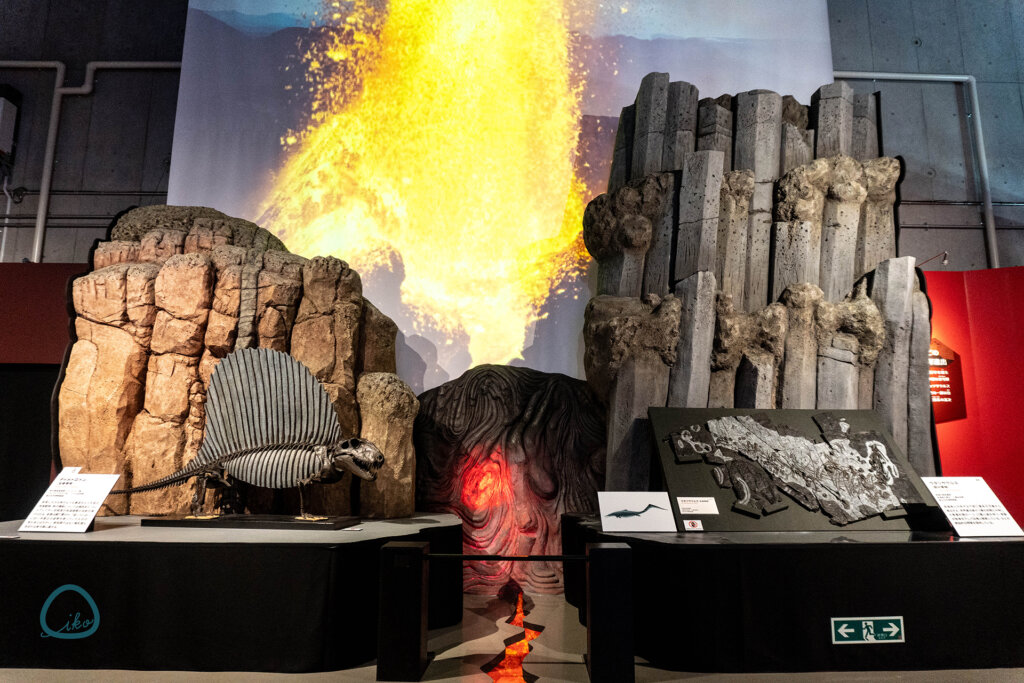 科博　大絶滅展　化石