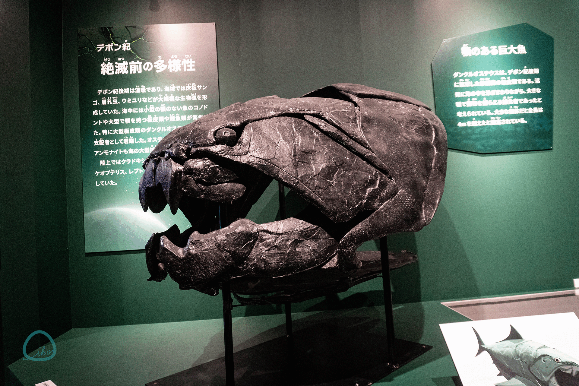 科博　大絶滅展　化石