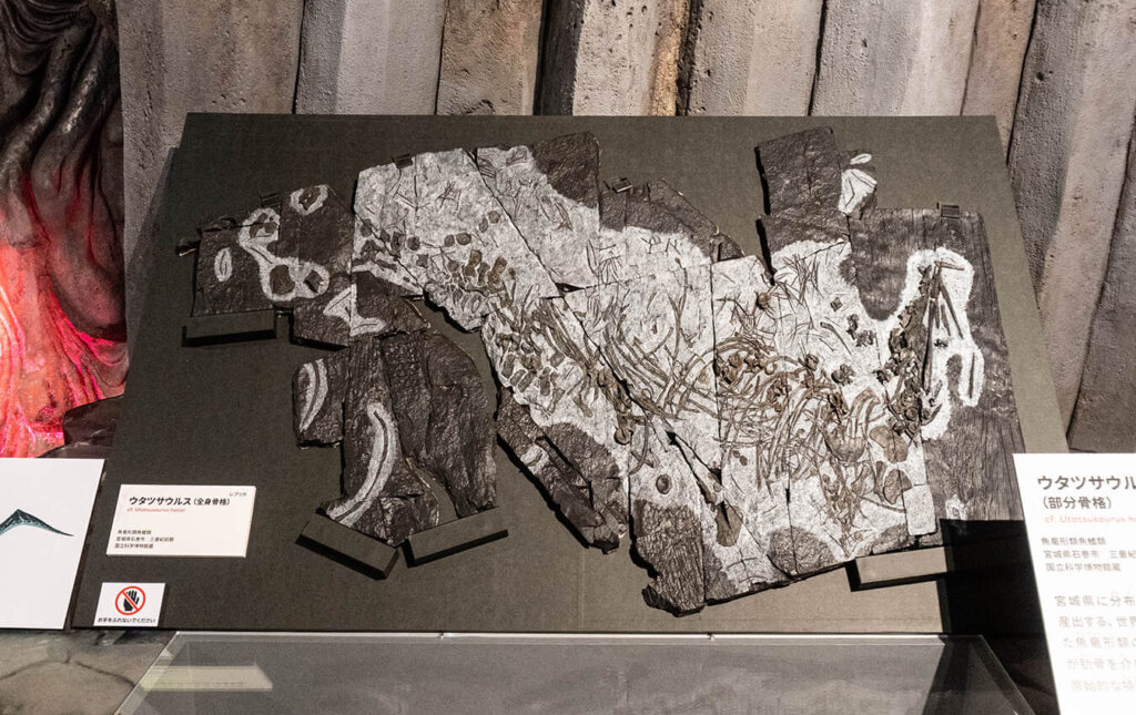 科博　大絶滅展　化石