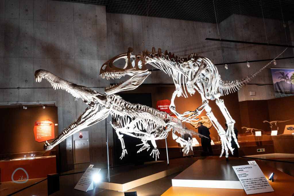 科博　大絶滅展　化石　恐竜