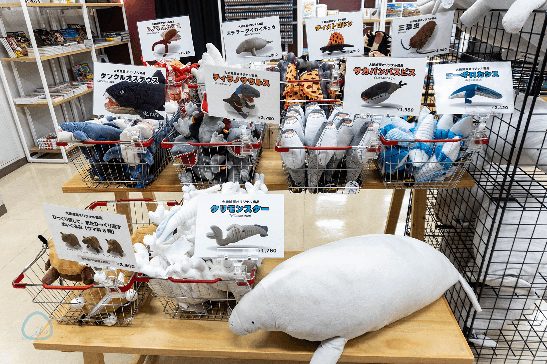 科博　大絶滅展　販売グッズ