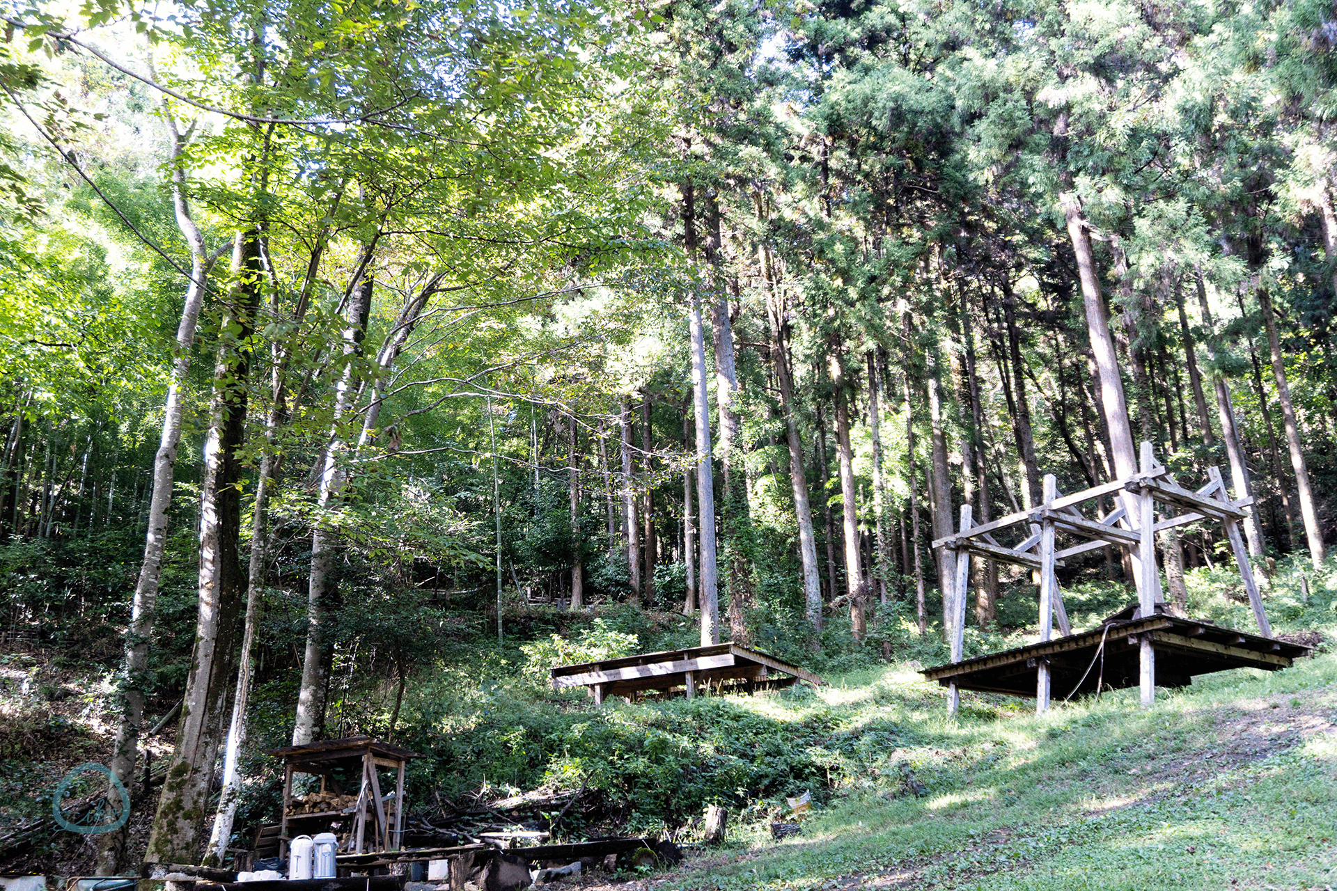 相模原　つちざわの森　風景