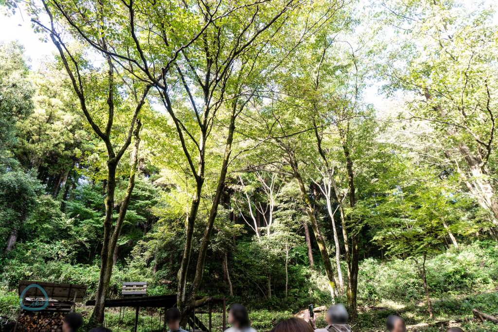 相模原　つちざわの森