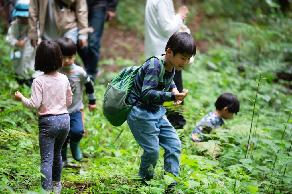 相模原　つちざわの森　自然との触れ合い
