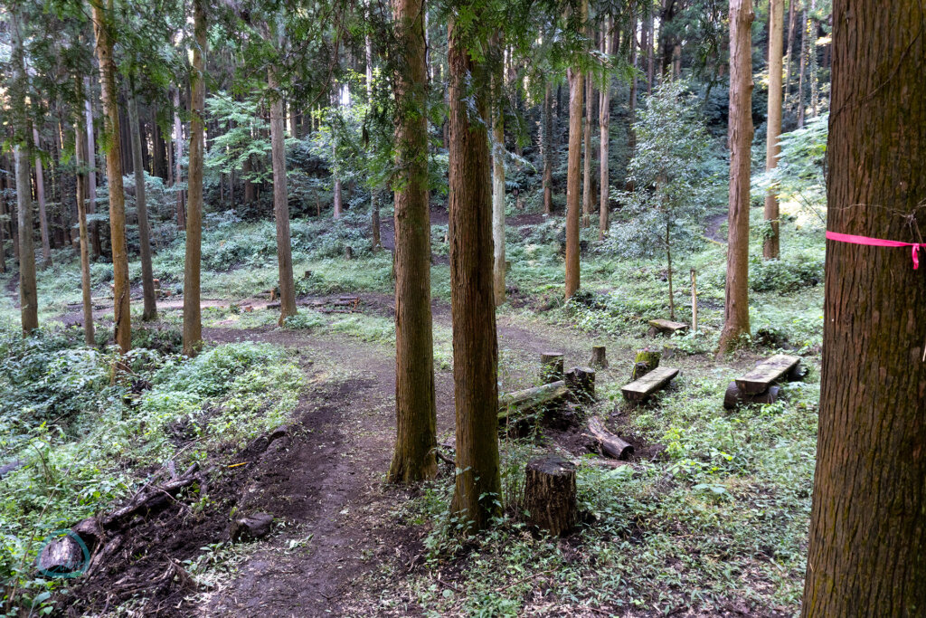 相模原　つちざわの森　マウンテンバイク