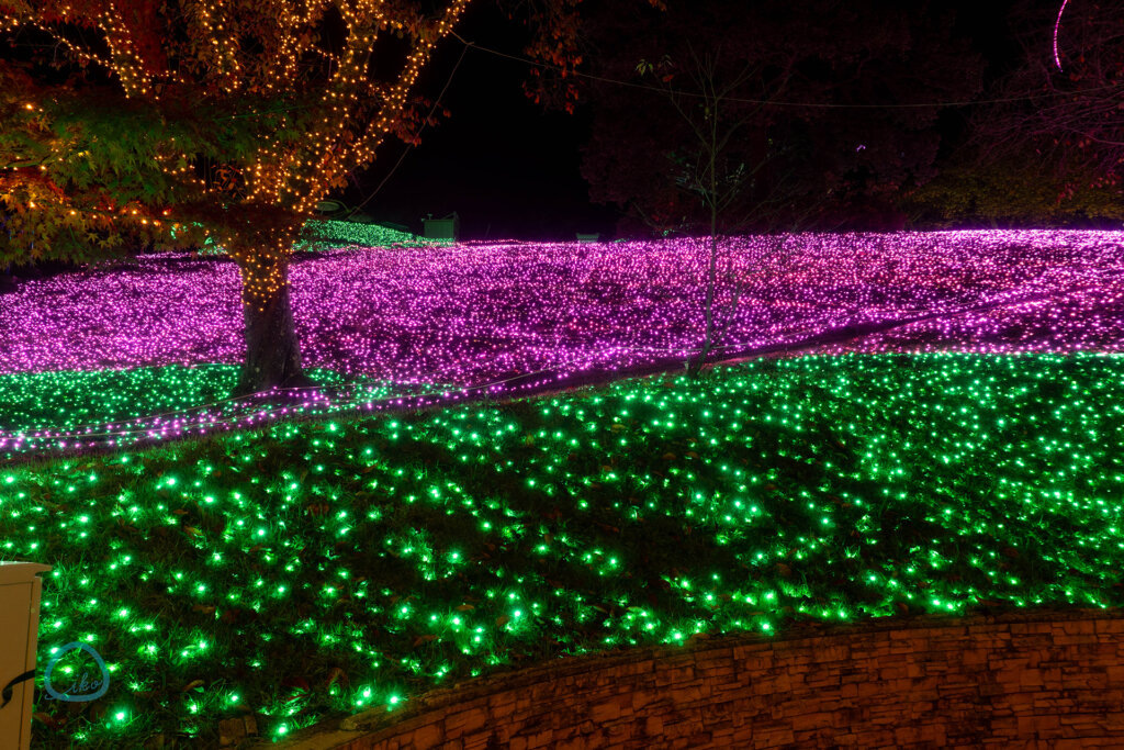 さがみ湖イルミリオン　たまごっち　会場風景　LED満開