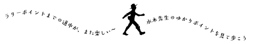 てくてくと歩く人