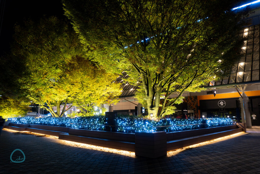 東京ドームシティ　夜間ライトアップ　会場風景