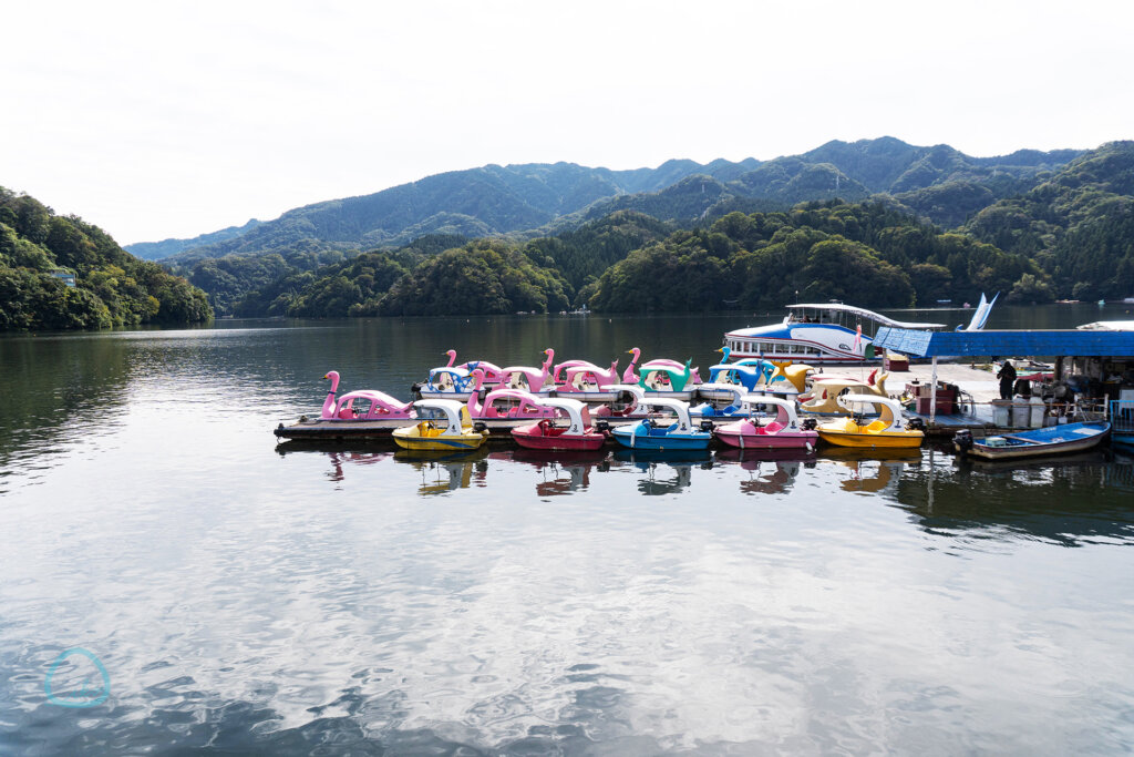 相模湖　遊覧船　食事　
