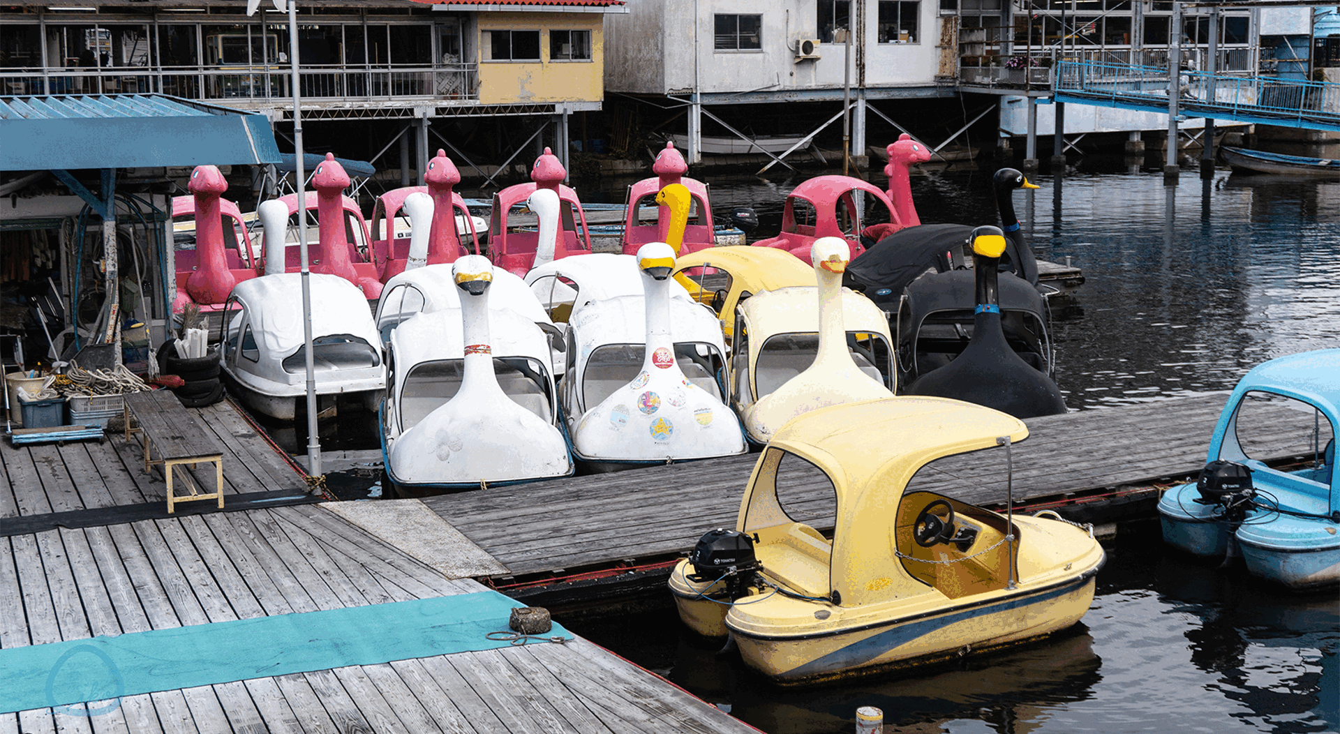 相模湖　遊覧船　スワン ボート