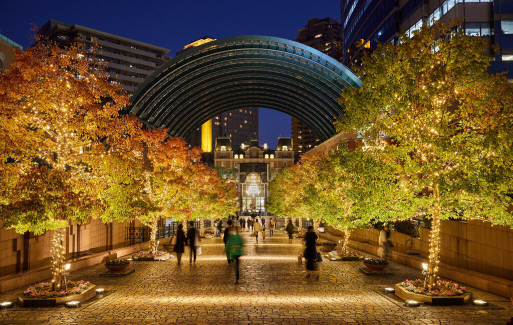 Baccarat ETERNAL LIGHTS 恵比寿ガーデンプレイス イルミネーション