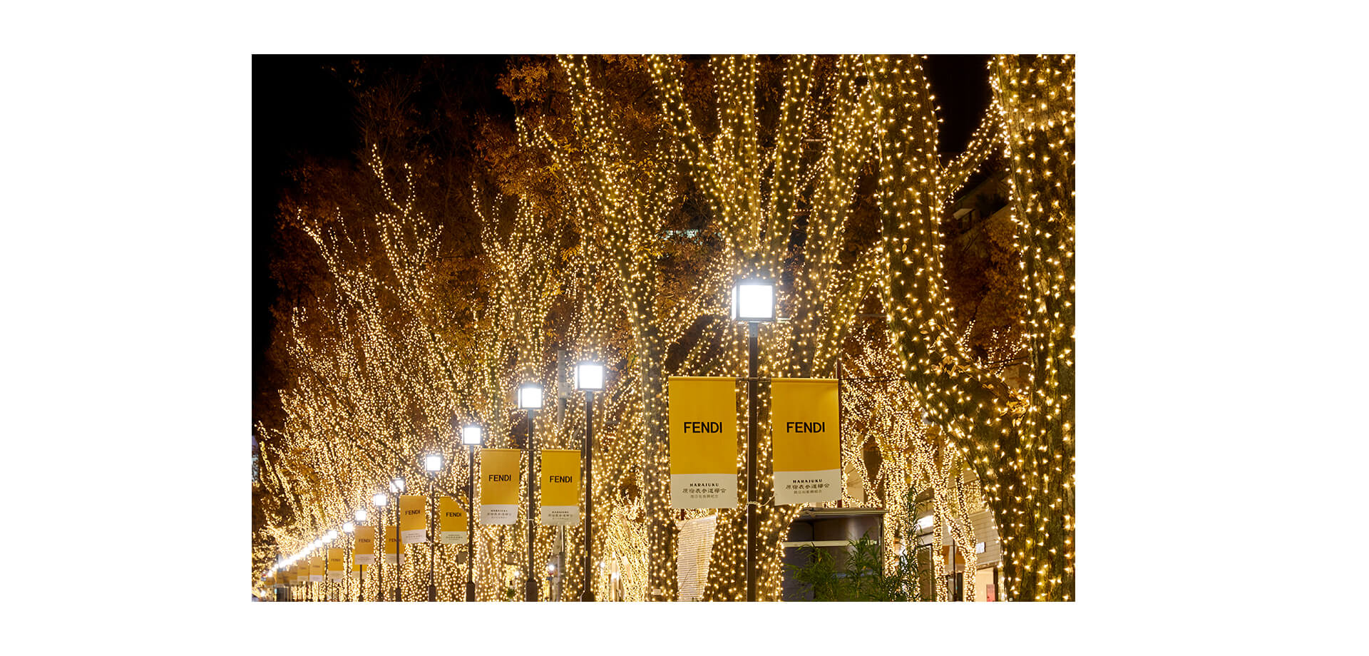 表参道 フェンディ イルミネーション ライトアップされた並木