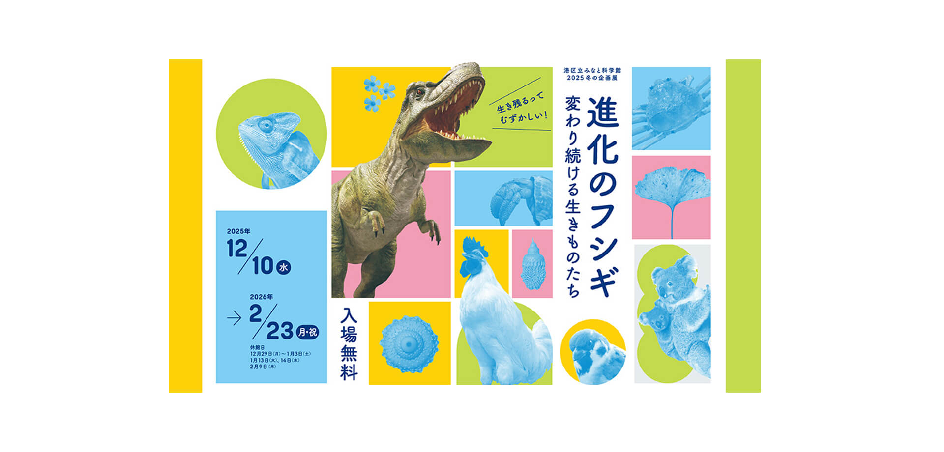 進化のフシギ ～変わり続ける生きものたち～ バナー