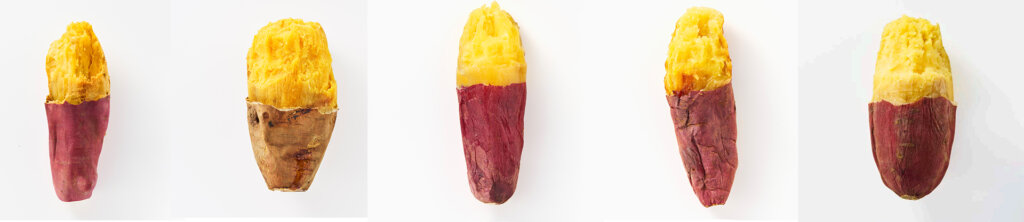 いろいろなサツマイモ