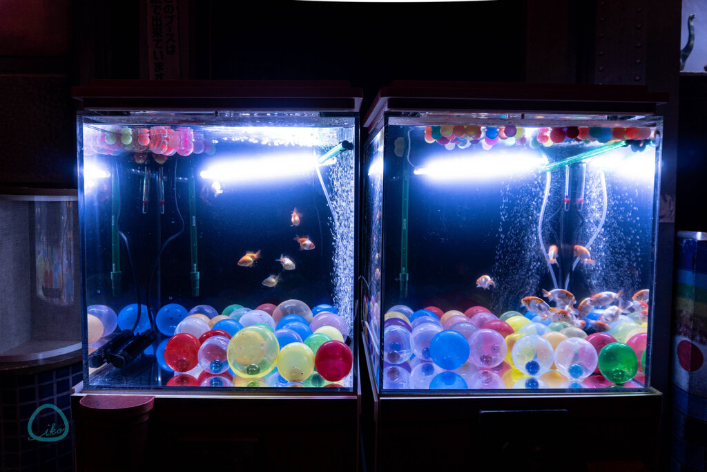 西武園ゆうえんち　ノスタルジック水族館　会場風景