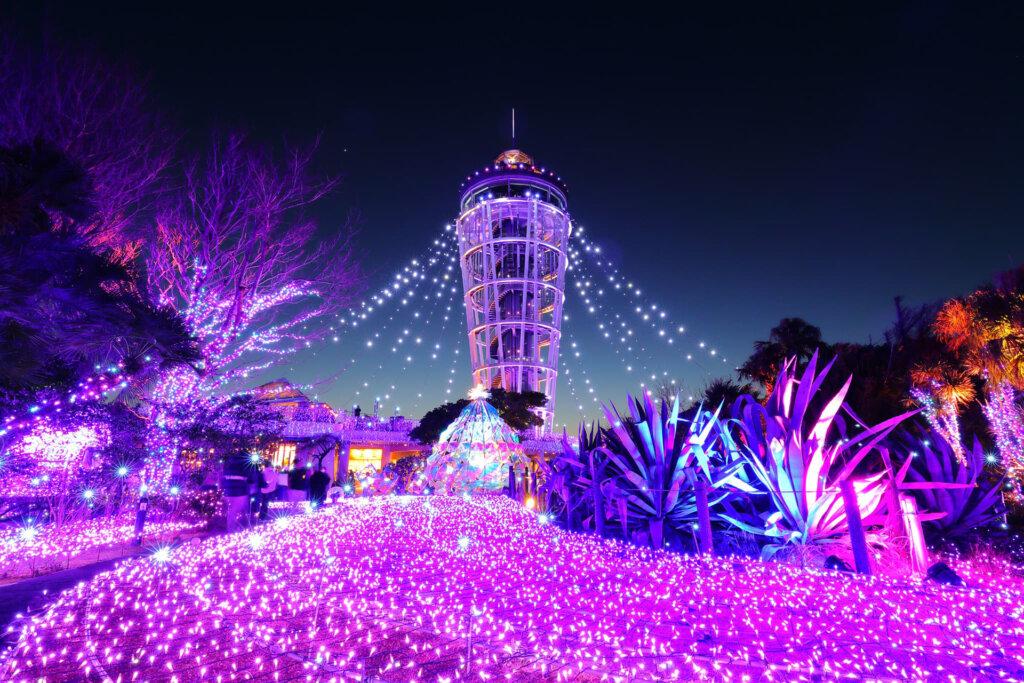 湘南の宝石 紫のLEDライティング