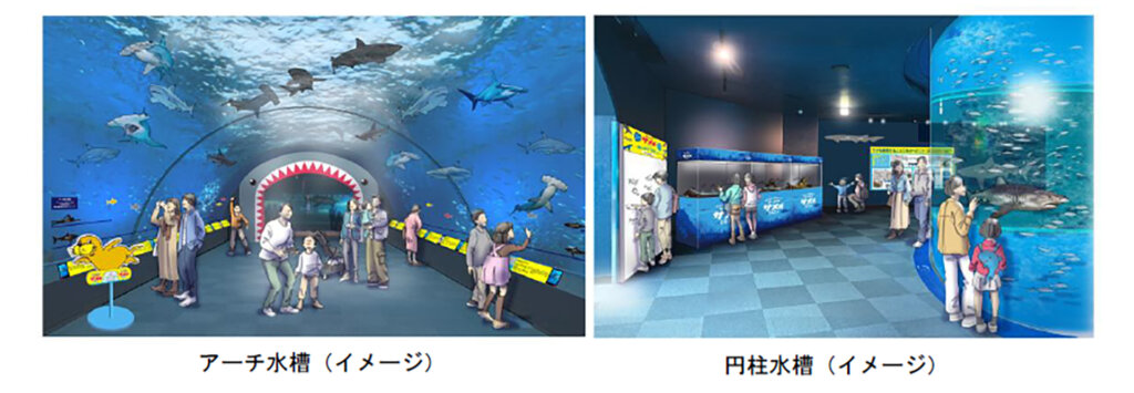 シーパラ サメ博　会場風景