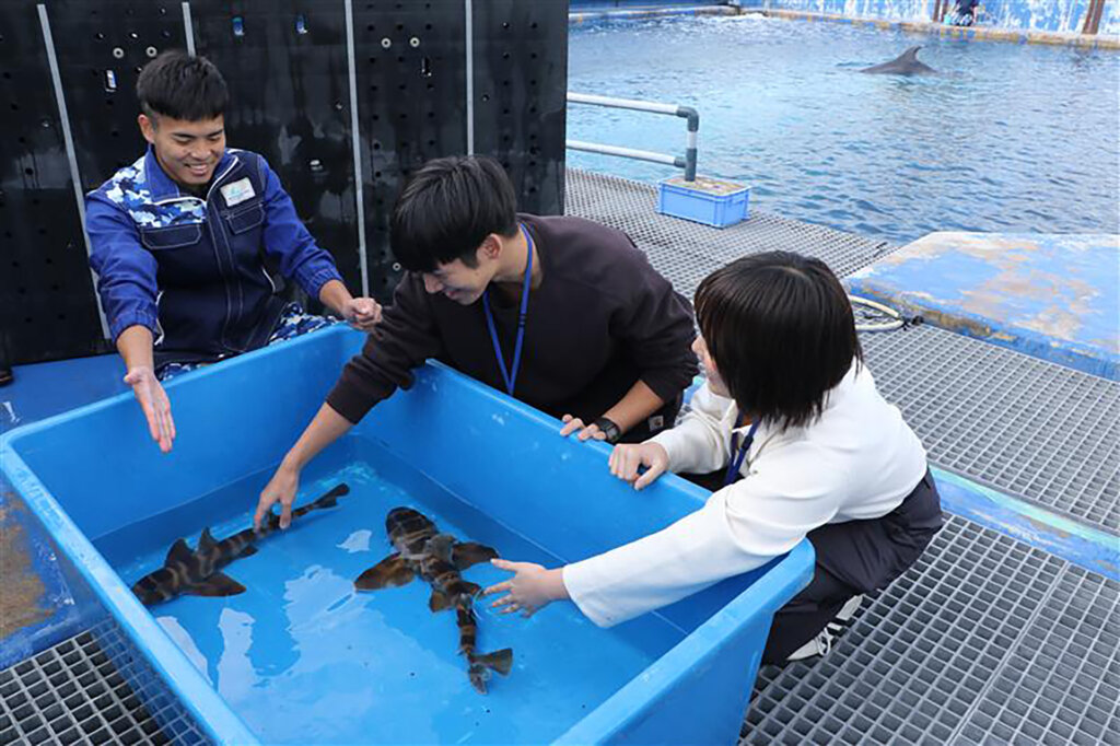 シーパラ バックヤードツアー