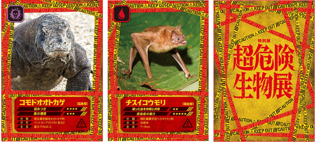 特別展「超危険生物展 科学で挑む生き物の本気」　紹介動物
