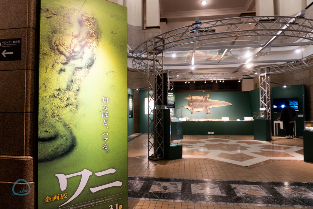 国立科学博物館　企画展　ワニ　会場風景