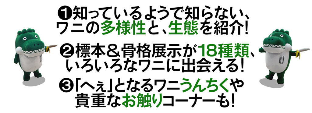 国立科学博物館　企画展　ワニ　見所箇条書き