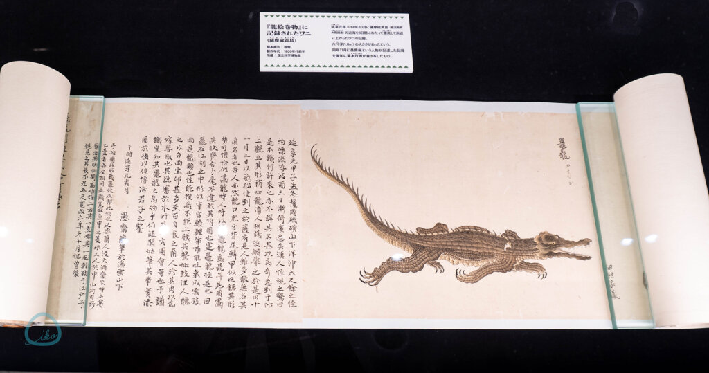 国立科学博物館　企画展　ワニ　古文書絵巻