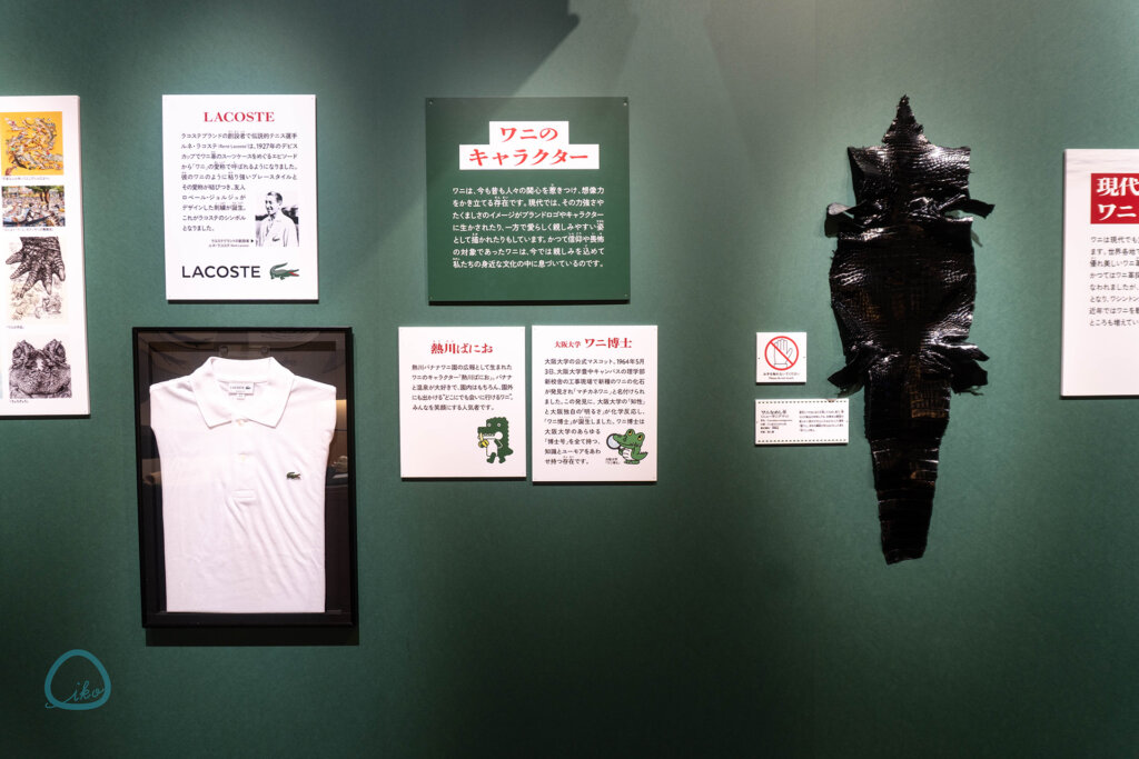 国立科学博物館　企画展　ワニ　会場風景