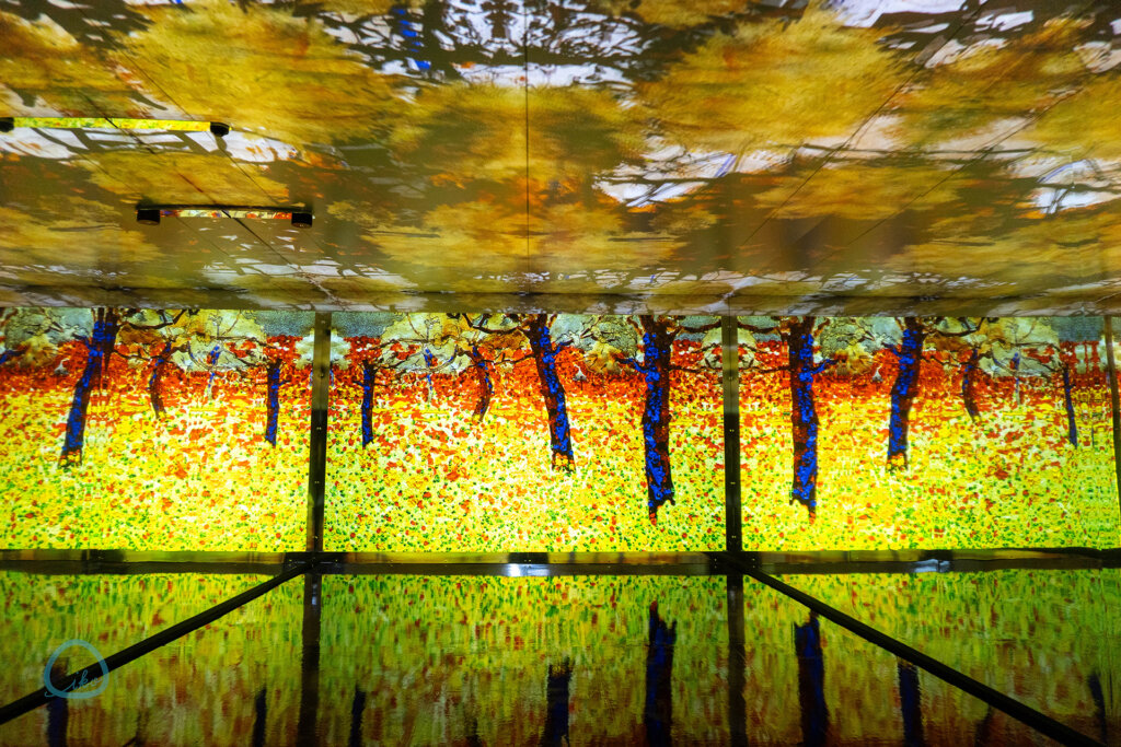 THE MOVEUM YOKOHAMA 会場風景　ミラールーム