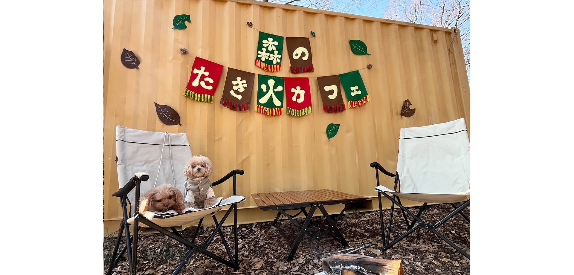 森のたき火カフェ 会場風景