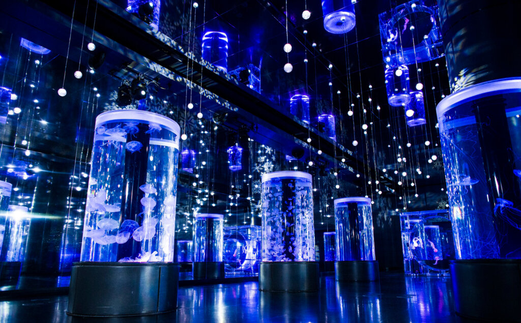 マクセル アクアパーク品川　会場風景