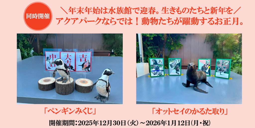 マクセル アクアパーク品川　正月特別企画　おみくじ　かるた取り