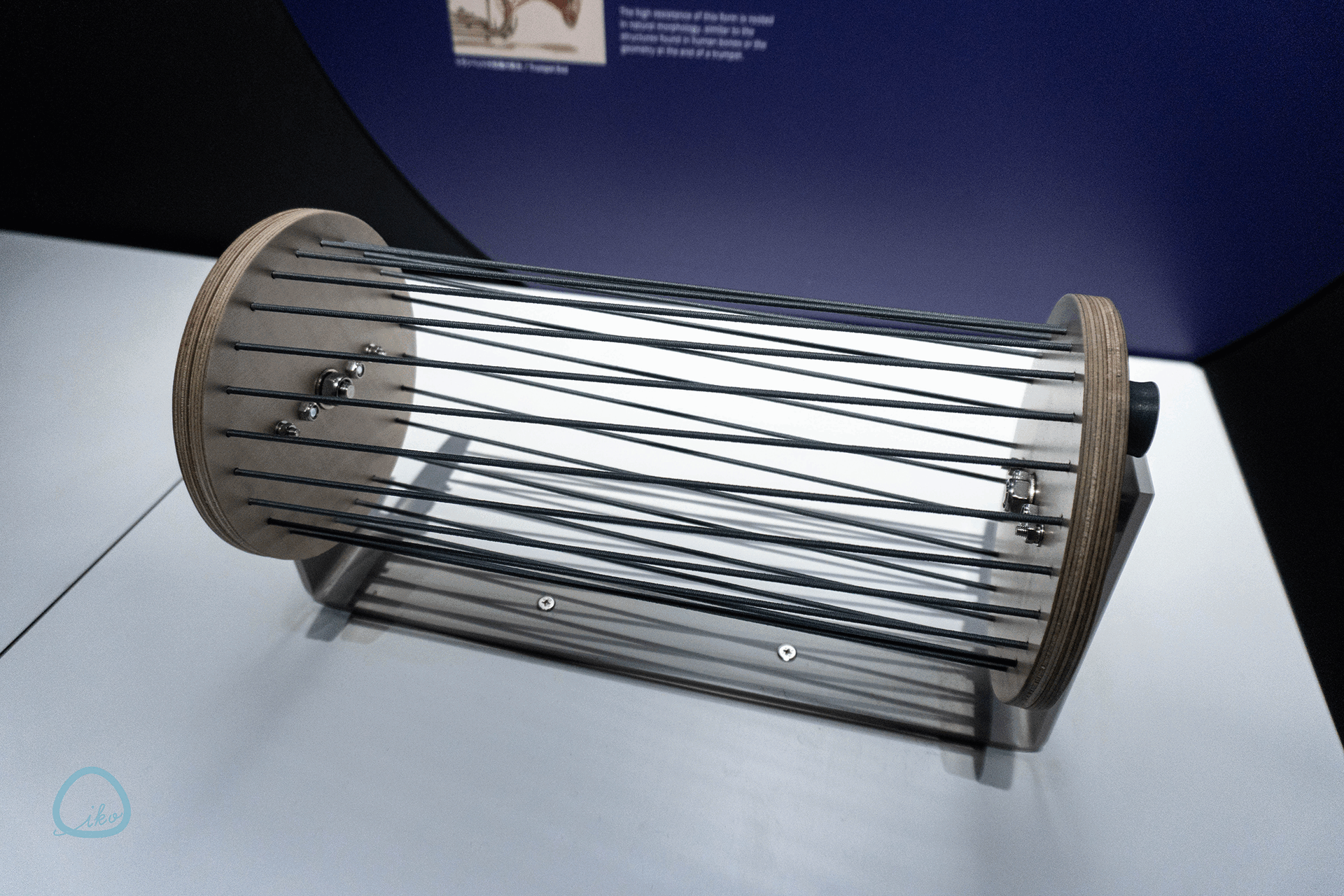 NAKED meets ガウディ展　体験コンテンツ