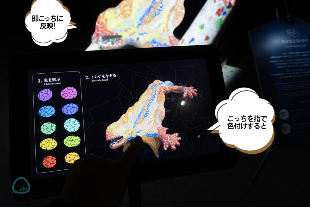 NAKED meets ガウディ展　デジタル体験展示　カメレオン着色