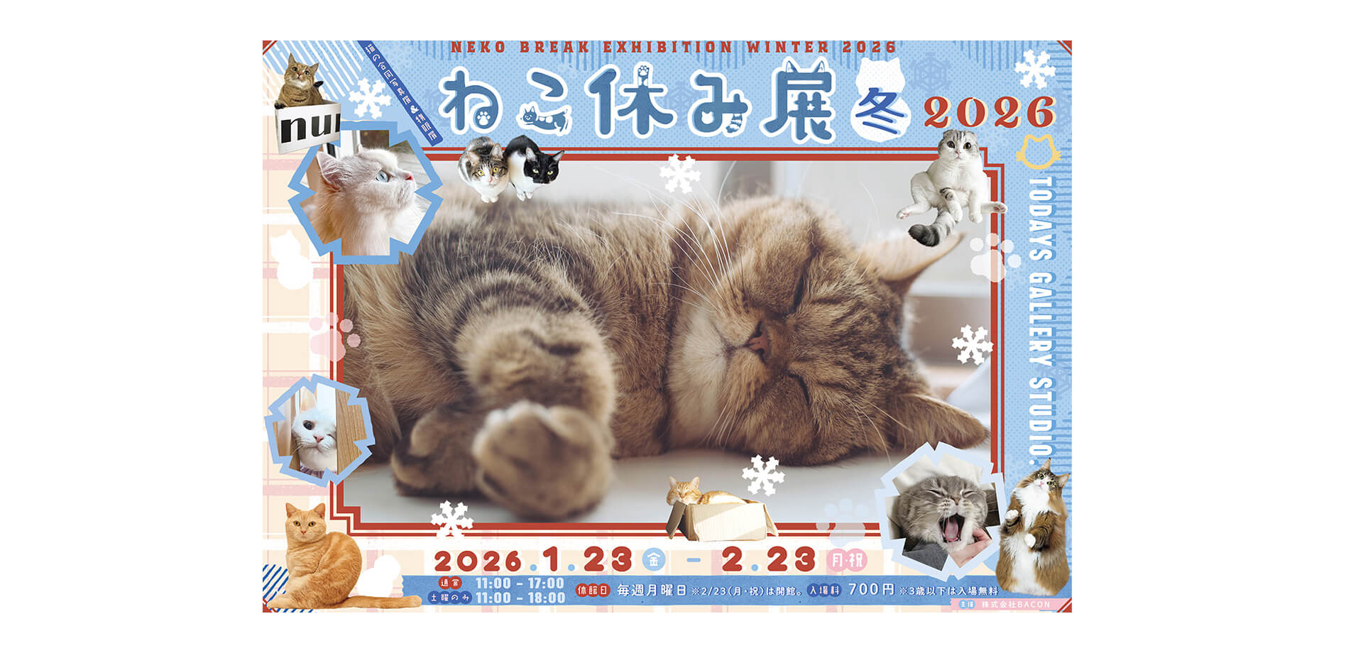「ねこ休み展 冬 2026」 バナー