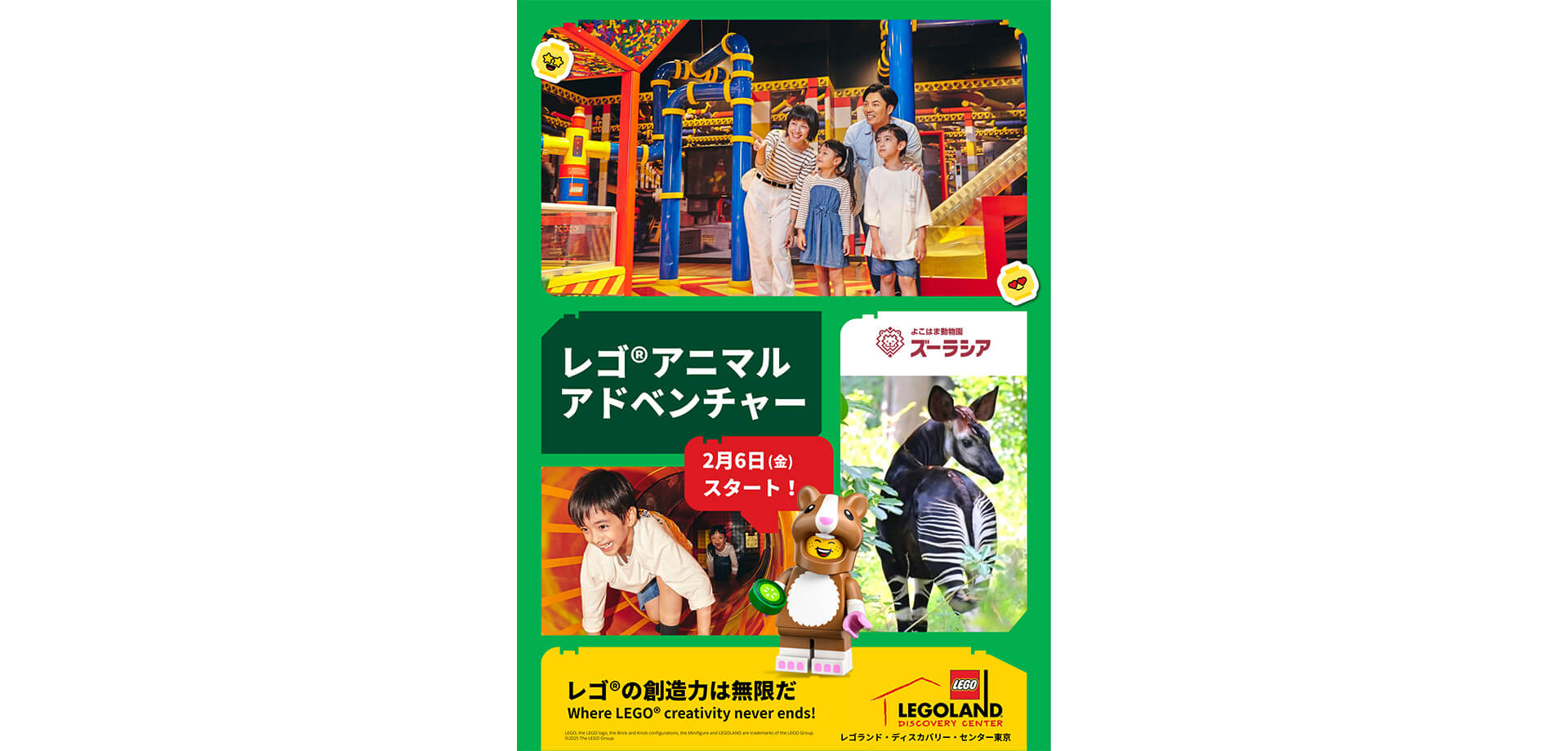 レゴ®アニマルアドベンチャー 告知チラシ