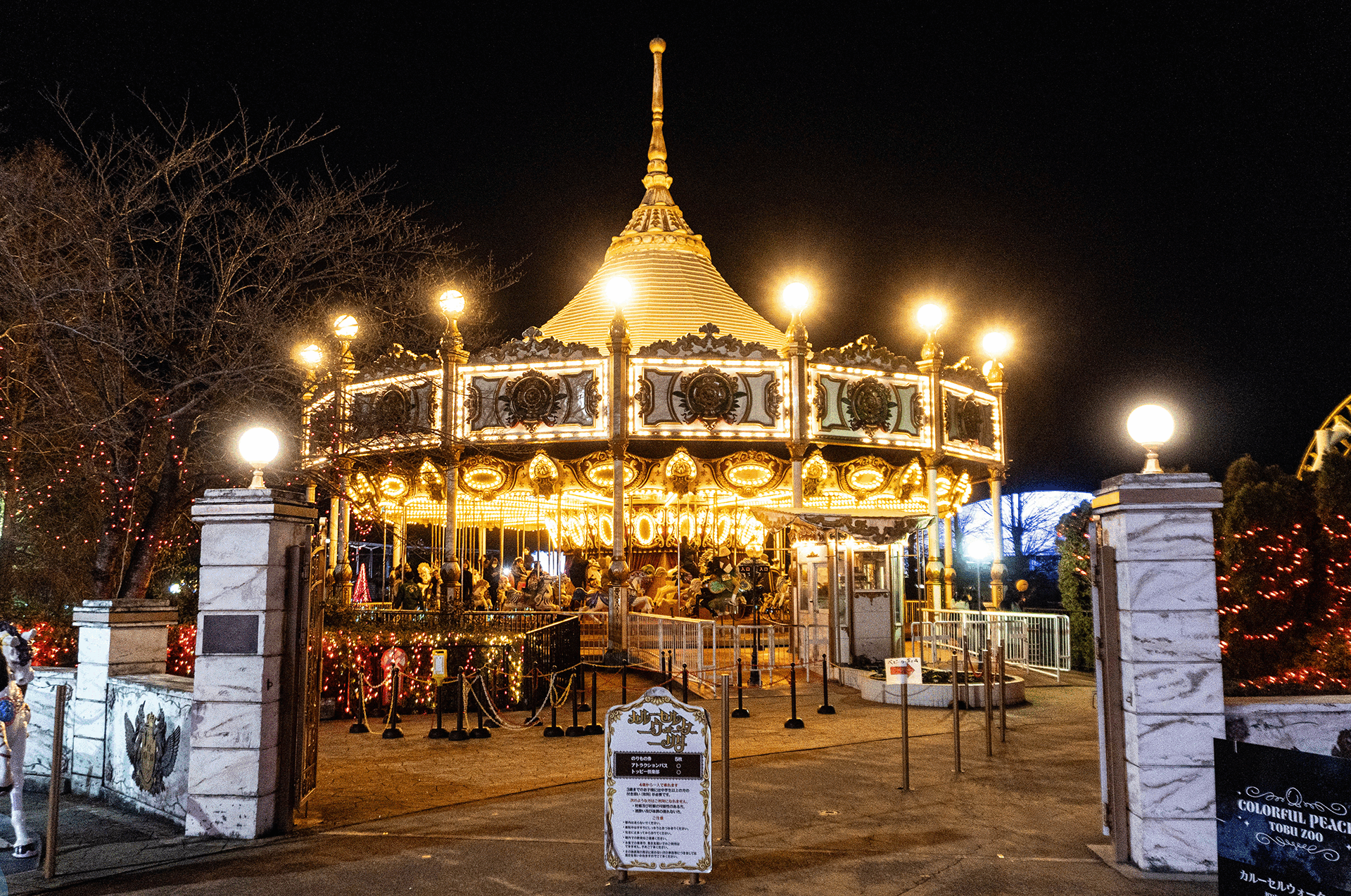 東武動物公園　ウインターイルミネーション　会場風景