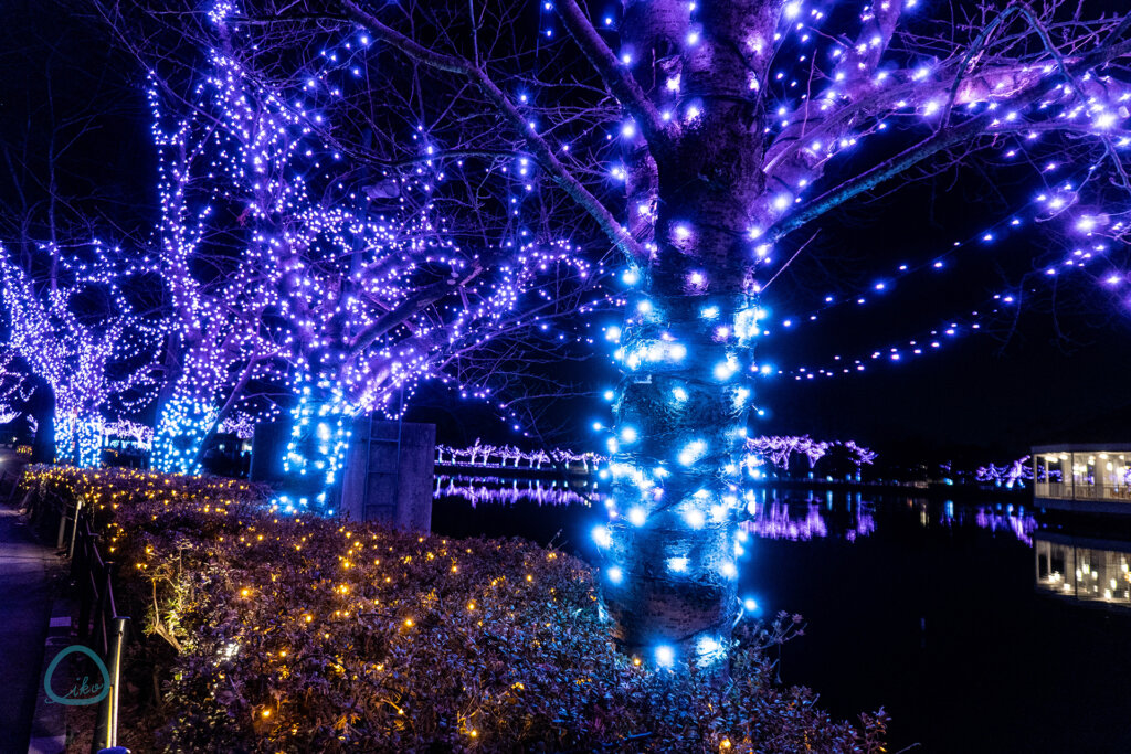 東武動物公園　ウインターイルミネーション　樹木のLED