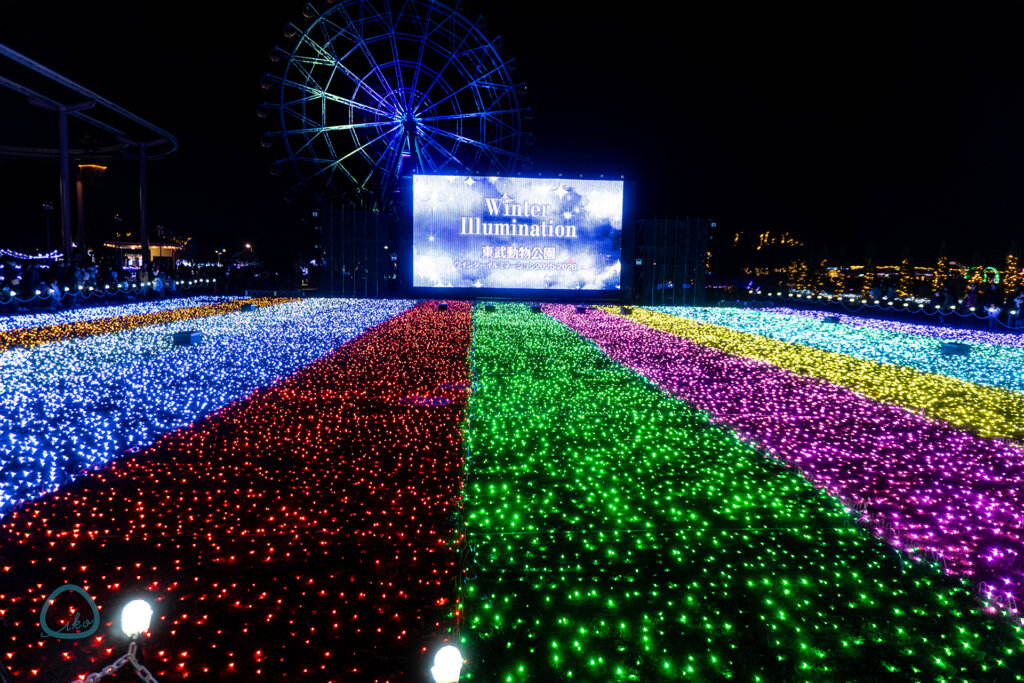 東武動物公園　ウインターイルミネーション　会場風景