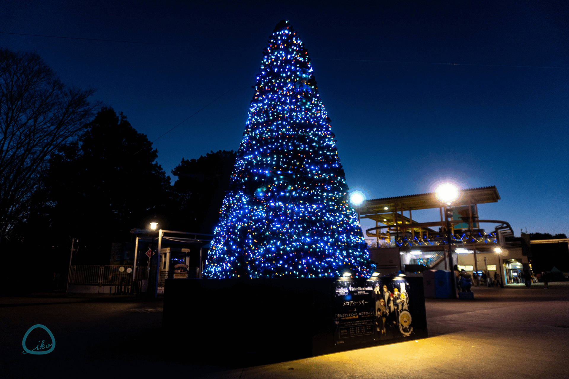 東武動物公園　ウインターイルミネーション　会場風景　ツリー