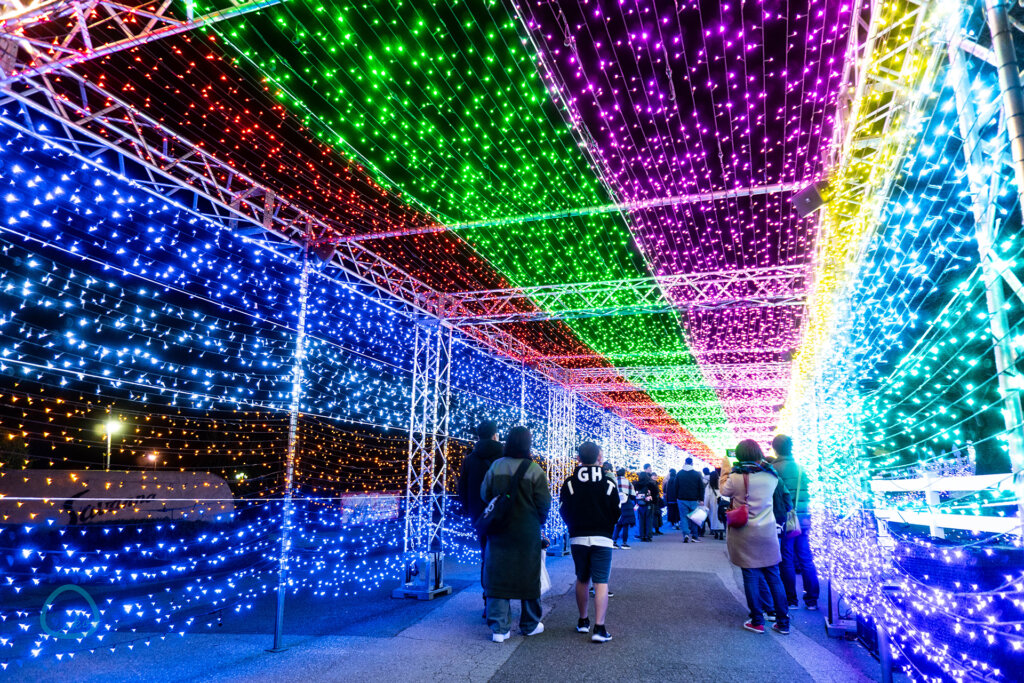 東武動物公園　ウインターイルミネーション　会場風景　光のトンネル