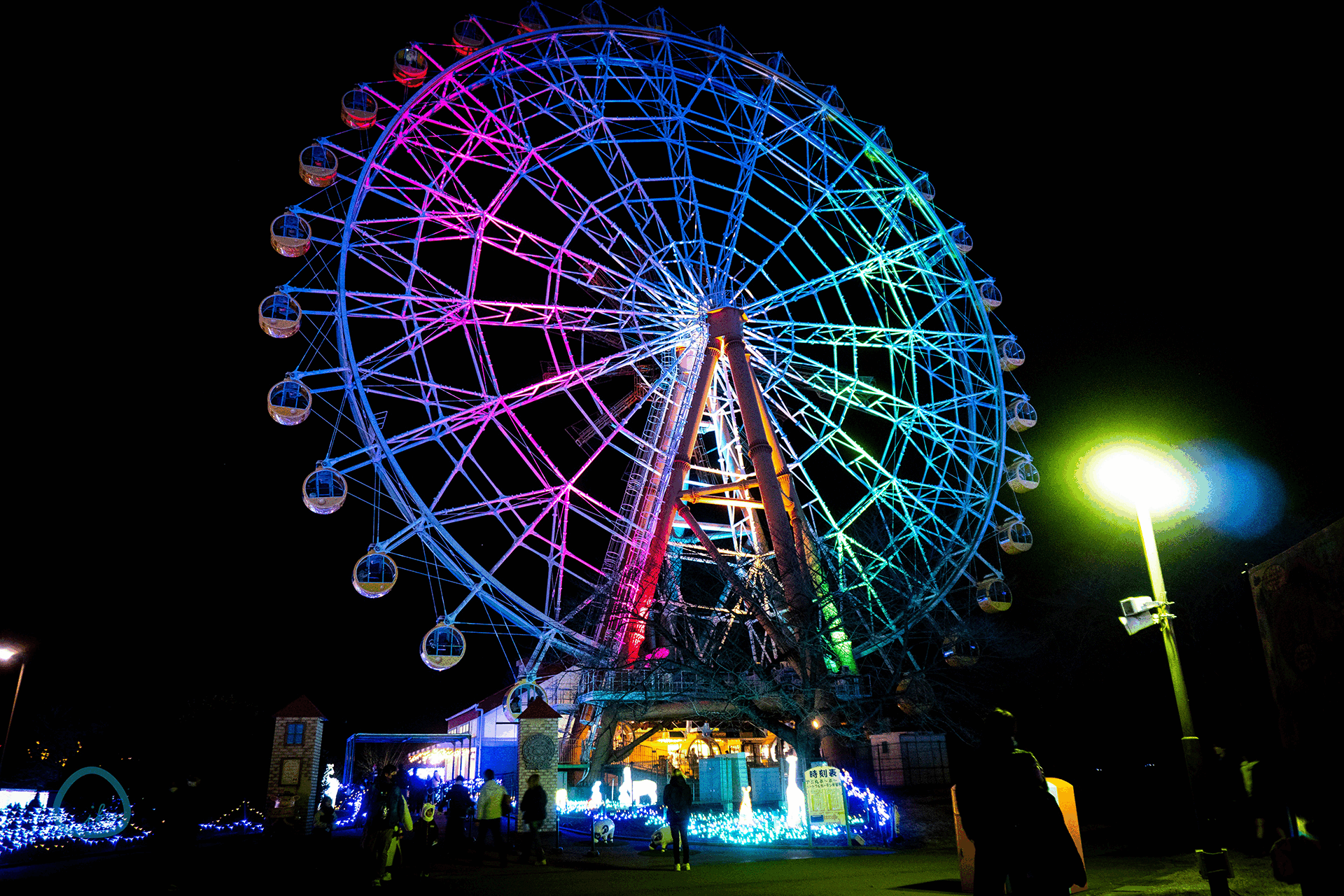 東武動物公園　ウインターイルミネーション　会場風景　観覧車