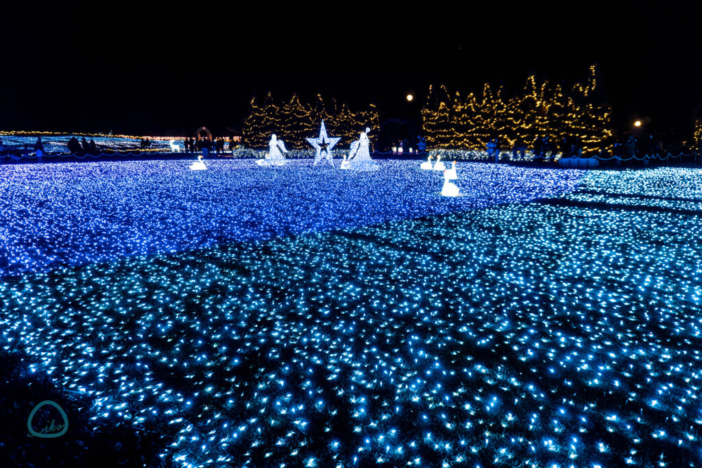 東武動物公園　ウインターイルミネーション　会場風景