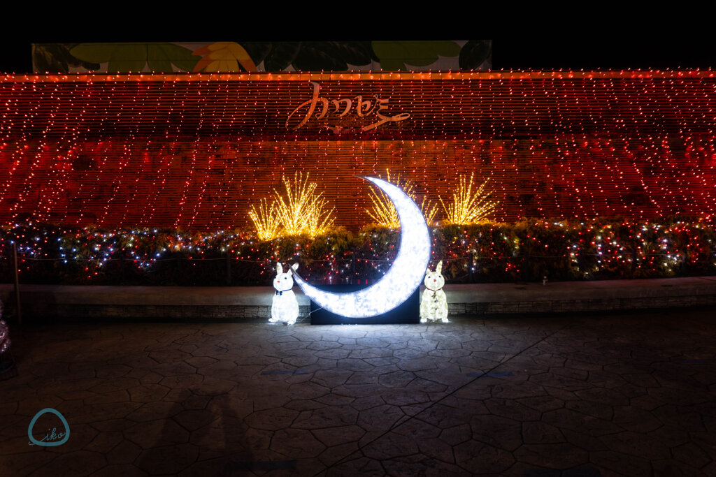 東武動物公園　ウインターイルミネーション　会場風景　三日月フォトスポット