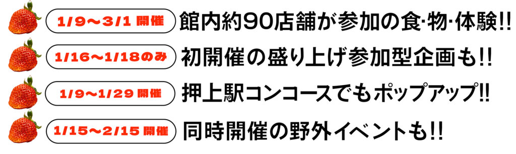 東京スカイツリータウン　いちごフェア　見所